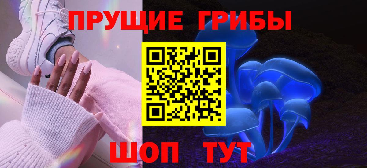 Галлюциногенные грибы прущие грибы Гурьевск